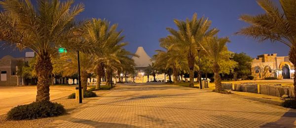 حي الملقا